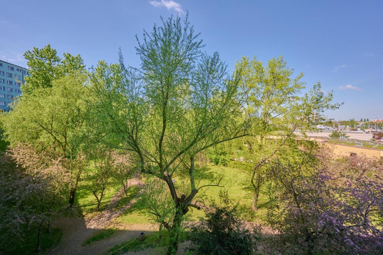 Beautiful & Bright Krynicka For 3 Guests By Renters Apartment